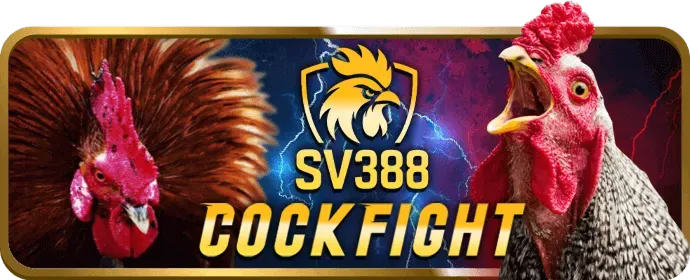 Bước 4: Cài đặt và mở ứng dụng