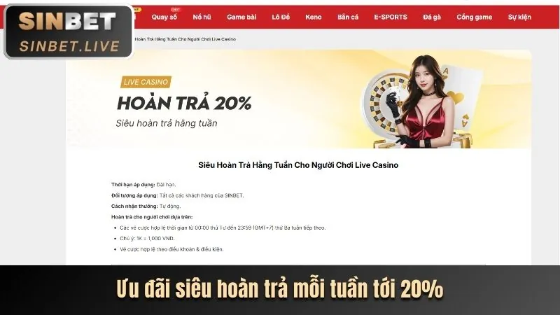 Hướng dẫn Casino Trực Tuyến Waybet